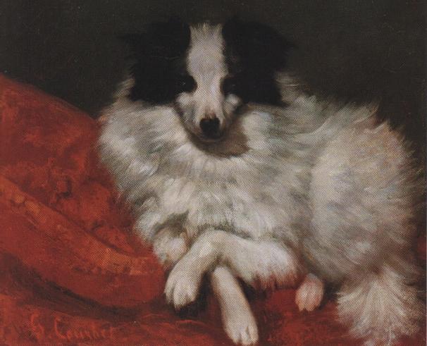Wikioo.org - The Encyclopedia of Fine Arts - Painting, Artwork by Gustave Courbet - Sitting on Cushions Dog