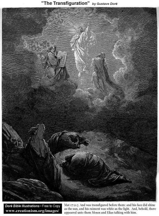 Wikoo.org - موسوعة الفنون الجميلة - اللوحة، العمل الفني Paul Gustave Doré - The Transfiguration