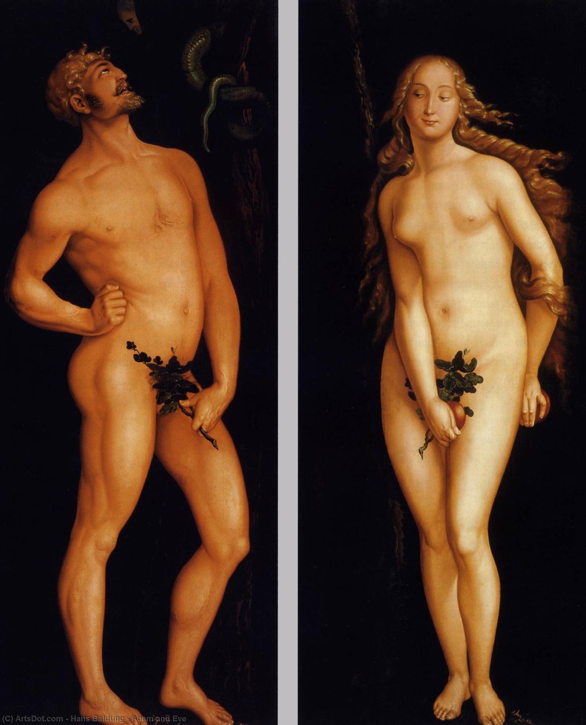 WikiOO.org - دایره المعارف هنرهای زیبا - نقاشی، آثار هنری Hans Baldung - Adam and Eve