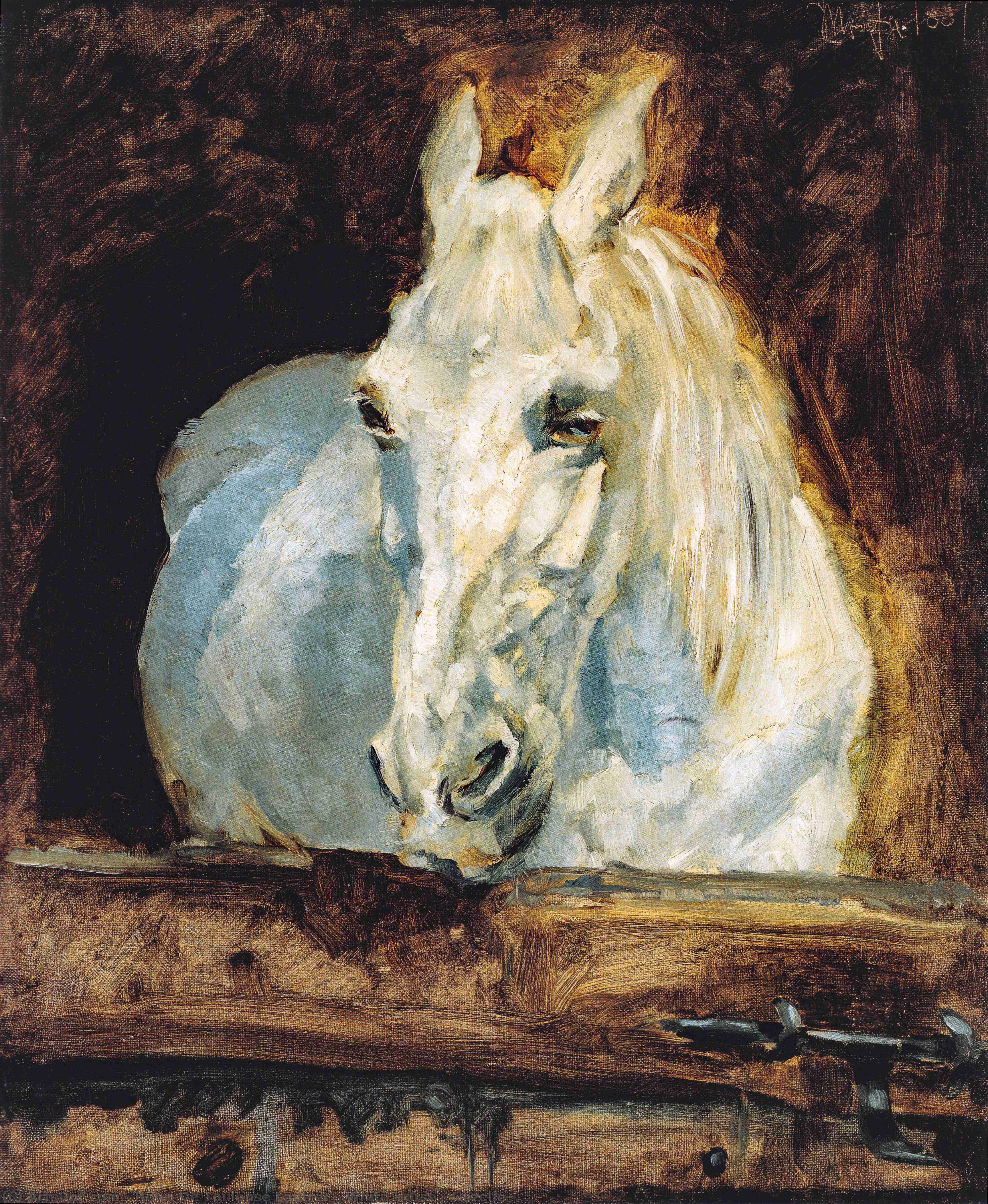 Wikoo.org - موسوعة الفنون الجميلة - اللوحة، العمل الفني Henri De Toulouse Lautrec - White Horse ''Gazelle''