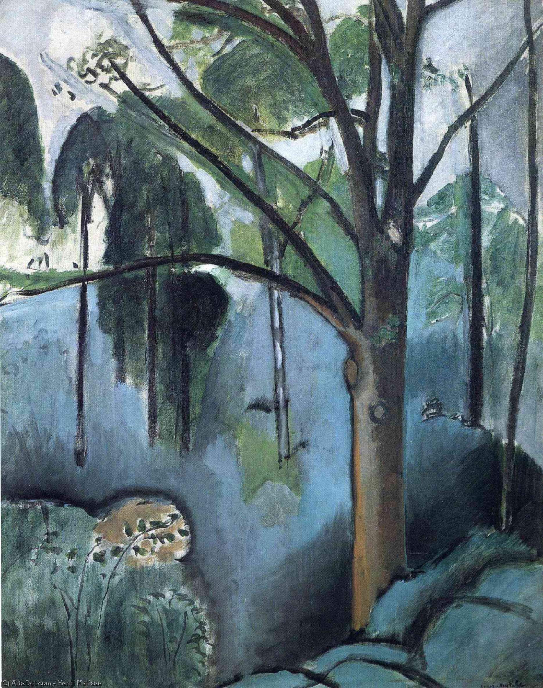 Wikioo.org - สารานุกรมวิจิตรศิลป์ - จิตรกรรม Henri Matisse - Trivaux Pond