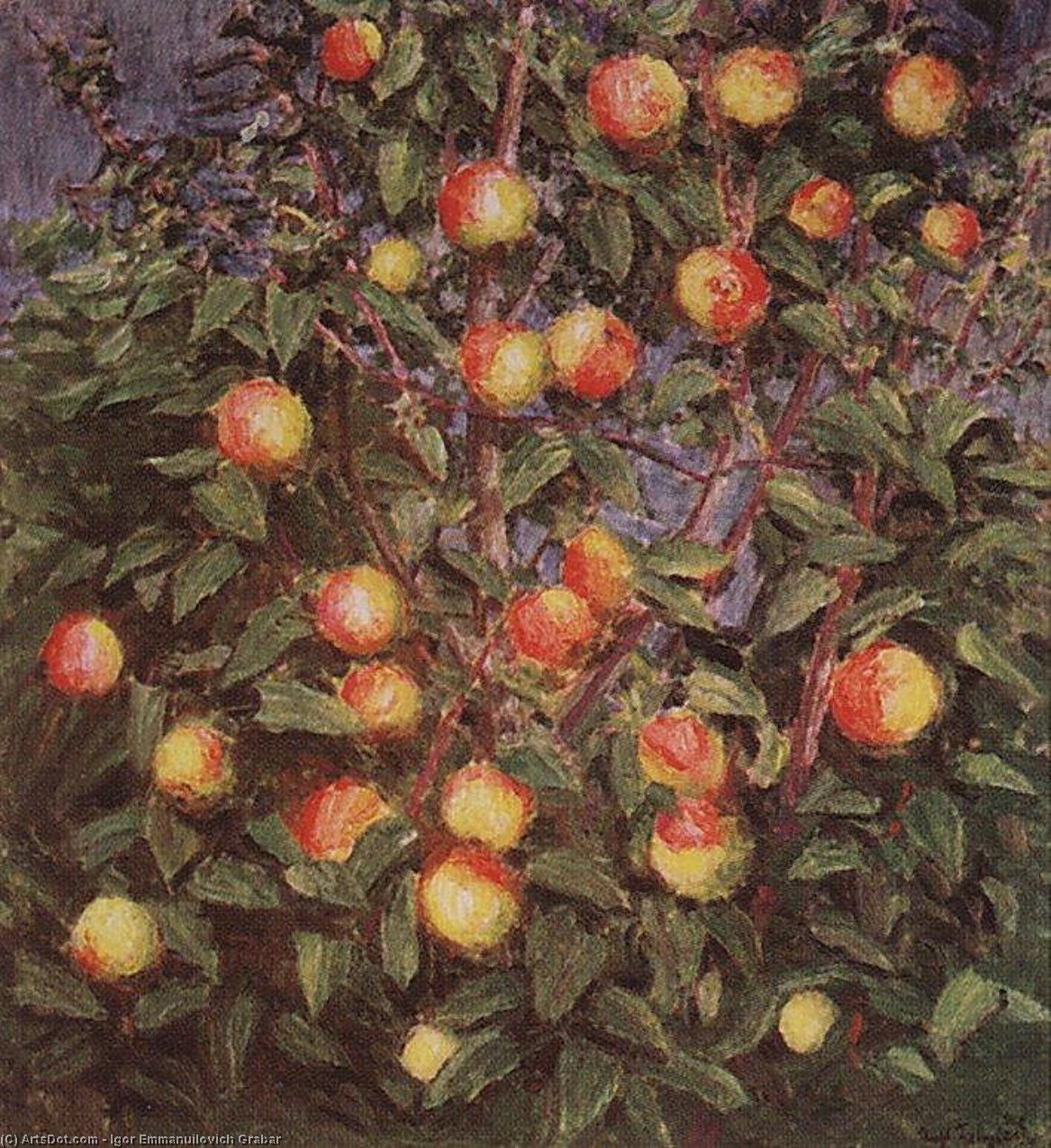 WikiOO.org - Encyclopedia of Fine Arts - Målning, konstverk Igor Emmanuilovich Grabar - A Branch of Apple