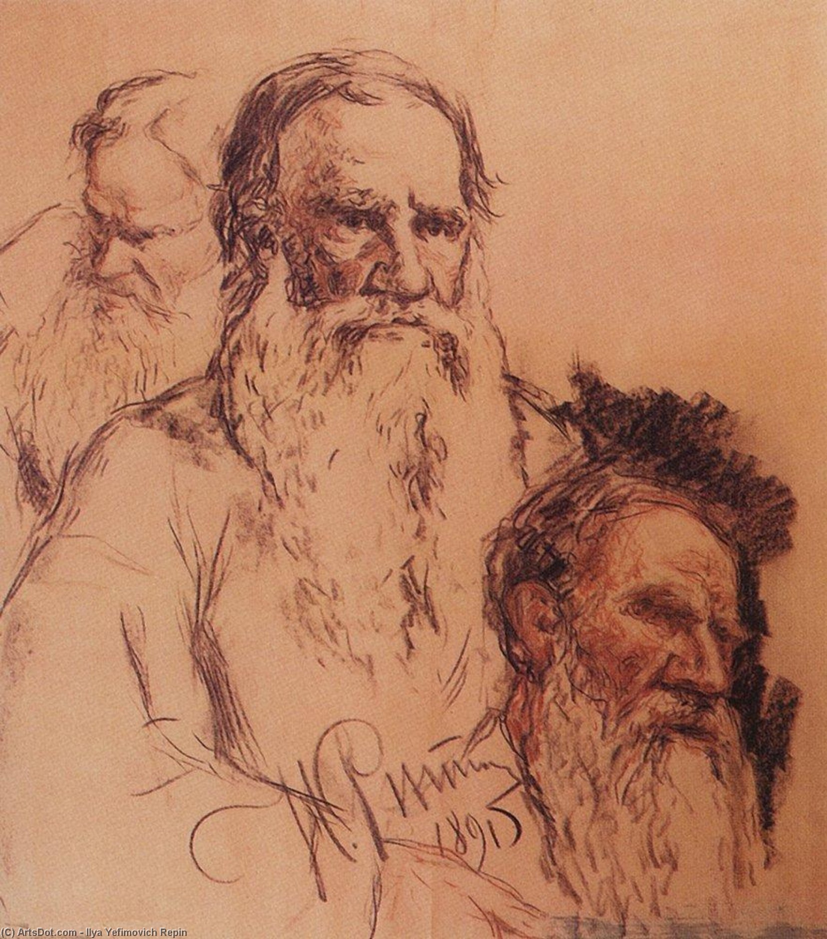 Wikioo.org - The Encyclopedia of Fine Arts - Painting, Artwork by Ilya Yefimovich Repin - Sketches of Leo Tolstoy