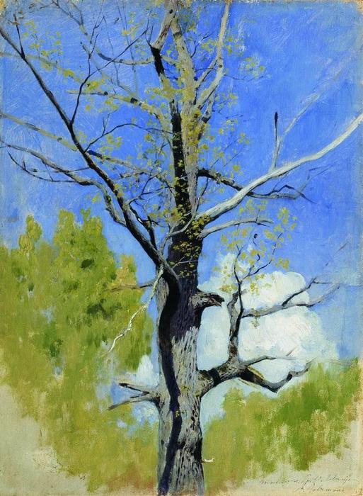WikiOO.org - Енциклопедия за изящни изкуства - Живопис, Произведения на изкуството Isaak Ilyich Levitan - Trunk of burgeoning oak