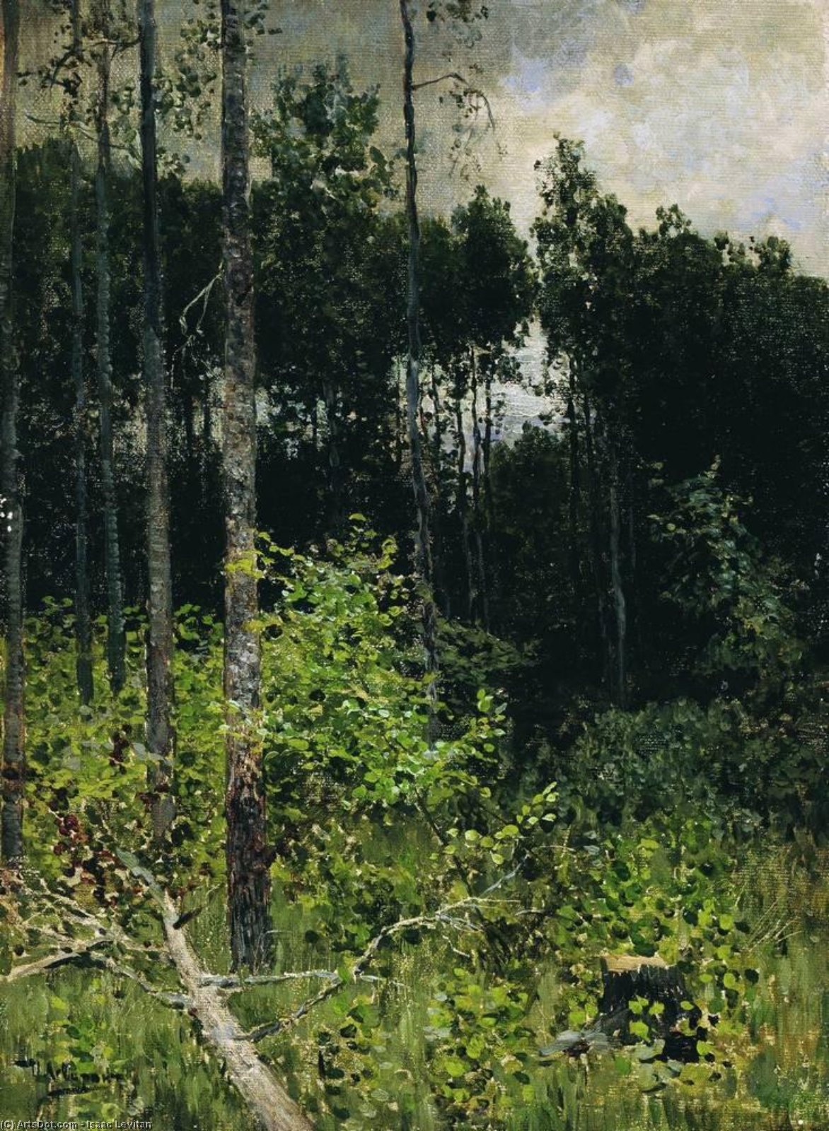 Wikioo.org - The Encyclopedia of Fine Arts - Painting, Artwork by Isaak Ilyich Levitan - Aspen spinny. A gray day.