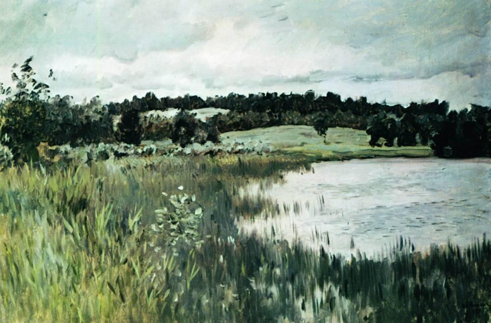 Wikioo.org - The Encyclopedia of Fine Arts - Painting, Artwork by Isaak Ilyich Levitan - Gray day.