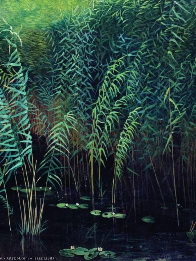 Wikoo.org - موسوعة الفنون الجميلة - اللوحة، العمل الفني Isaak Ilyich Levitan - Reeds and water lilies
