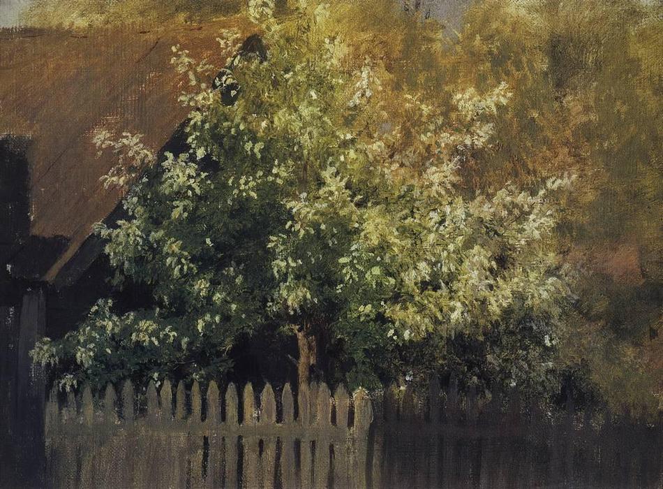 WikiOO.org - Енциклопедія образотворчого мистецтва - Живопис, Картини
 Isaak Ilyich Levitan - Bird Cherry Tree