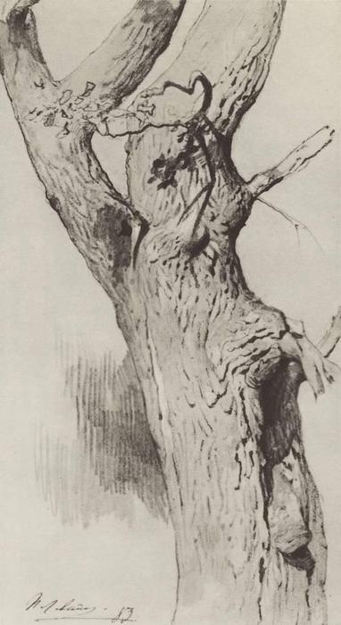 WikiOO.org - Güzel Sanatlar Ansiklopedisi - Resim, Resimler Isaak Ilyich Levitan - The trunk of an old tree