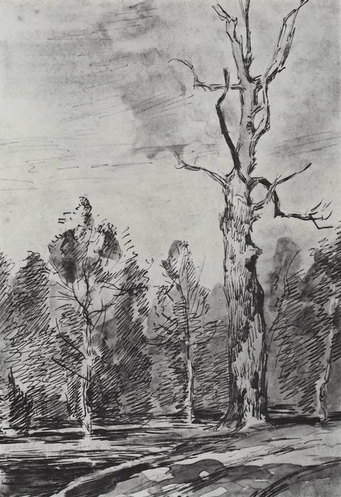 Wikioo.org – L'Encyclopédie des Beaux Arts - Peinture, Oeuvre de Isaak Ilyich Levitan - une sec  Arborescence  par de  la  route