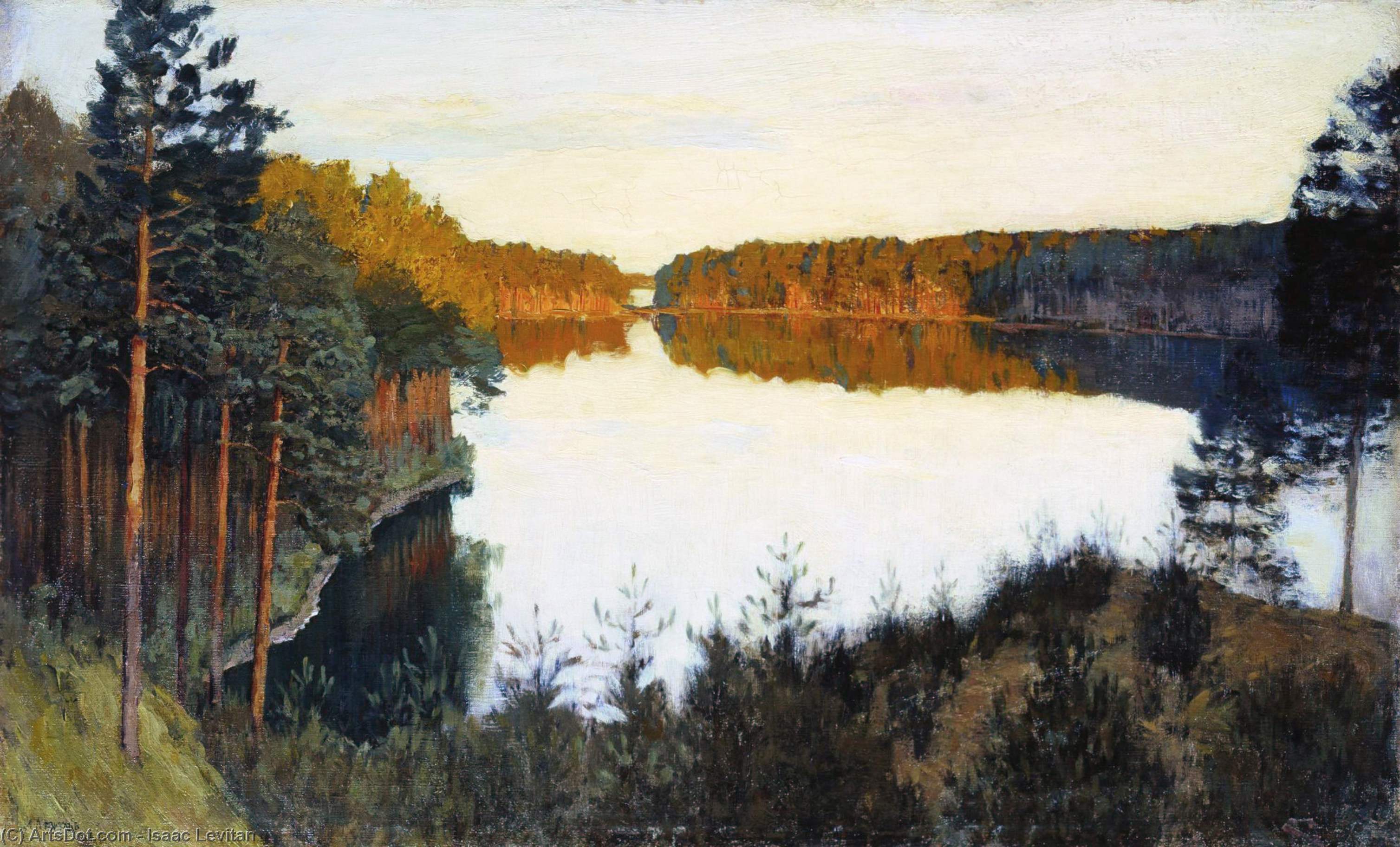 Wikioo.org - The Encyclopedia of Fine Arts - Painting, Artwork by Isaak Ilyich Levitan - Forest lake