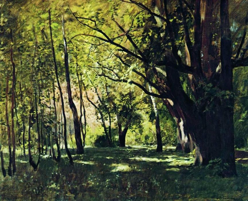 Wikioo.org - The Encyclopedia of Fine Arts - Painting, Artwork by Isaak Ilyich Levitan - In the park