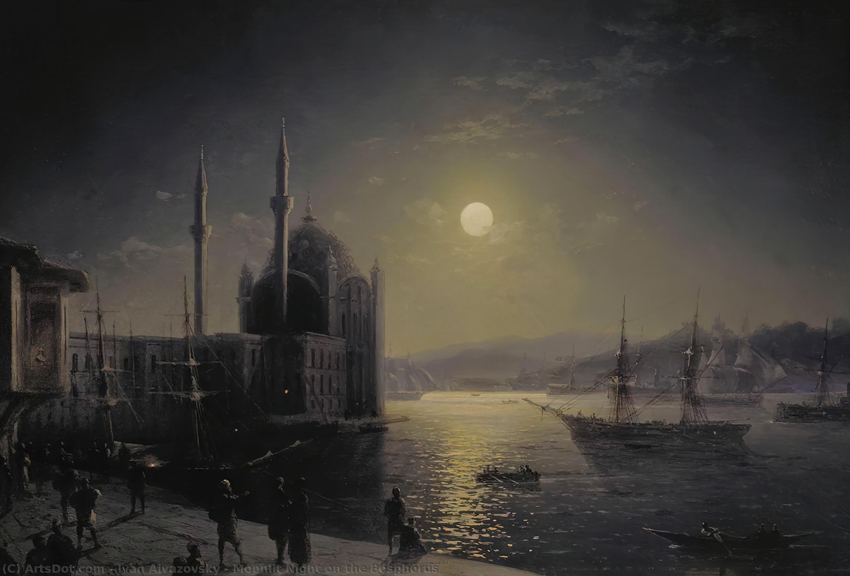Wikioo.org - The Encyclopedia of Fine Arts - Painting, Artwork by Ivan Aivazovsky - Moonlit Night on the Bosphorus