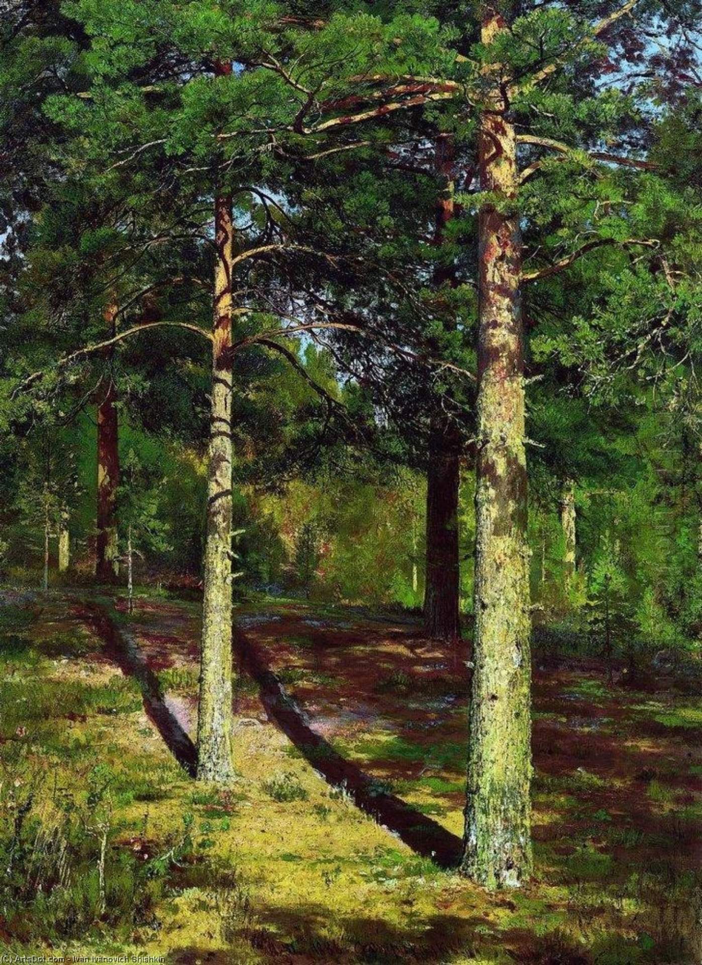 Wikioo.org - The Encyclopedia of Fine Arts - Painting, Artwork by Ivan Ivanovich Shishkin - The Sun lit Pines