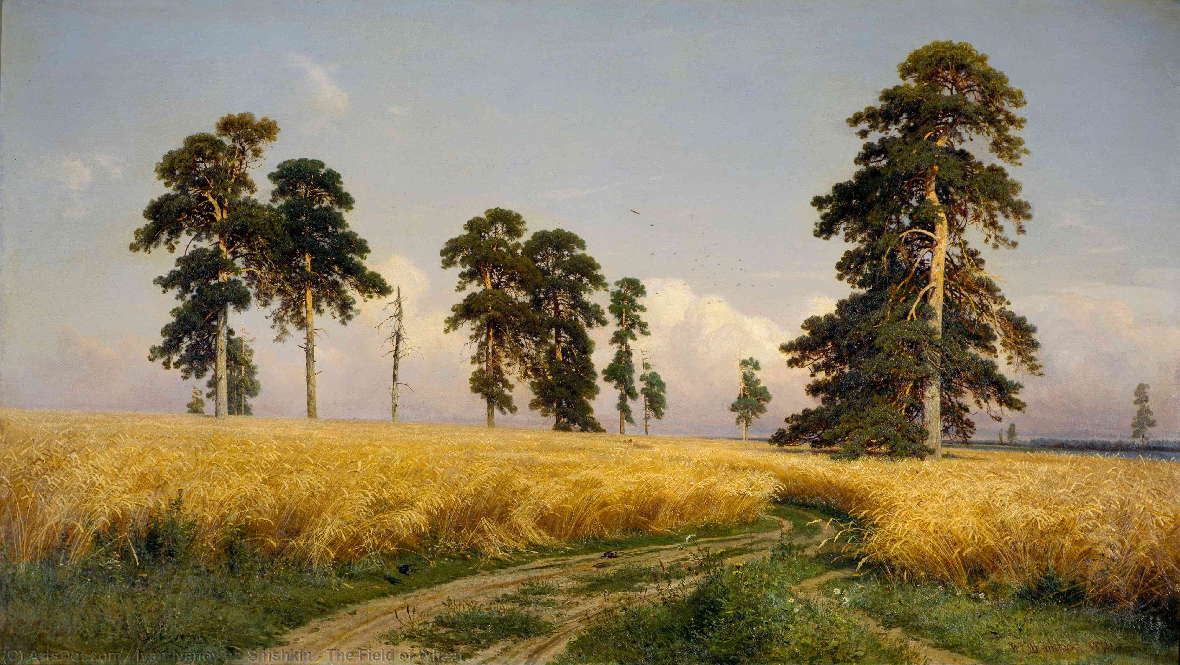 Wikioo.org - The Encyclopedia of Fine Arts - Painting, Artwork by Ivan Ivanovich Shishkin - The Field of Wheat