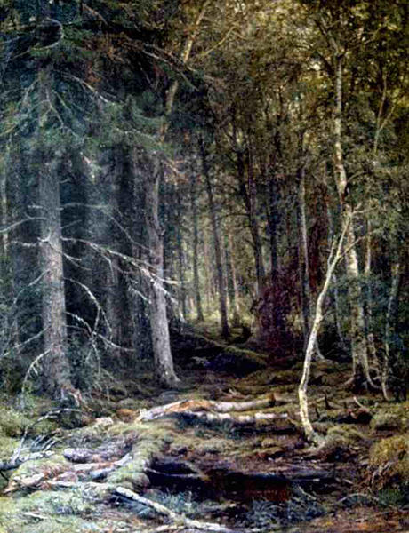 WikiOO.org - Encyclopedia of Fine Arts - Schilderen, Artwork Ivan Ivanovich Shishkin - The Forest Horizons