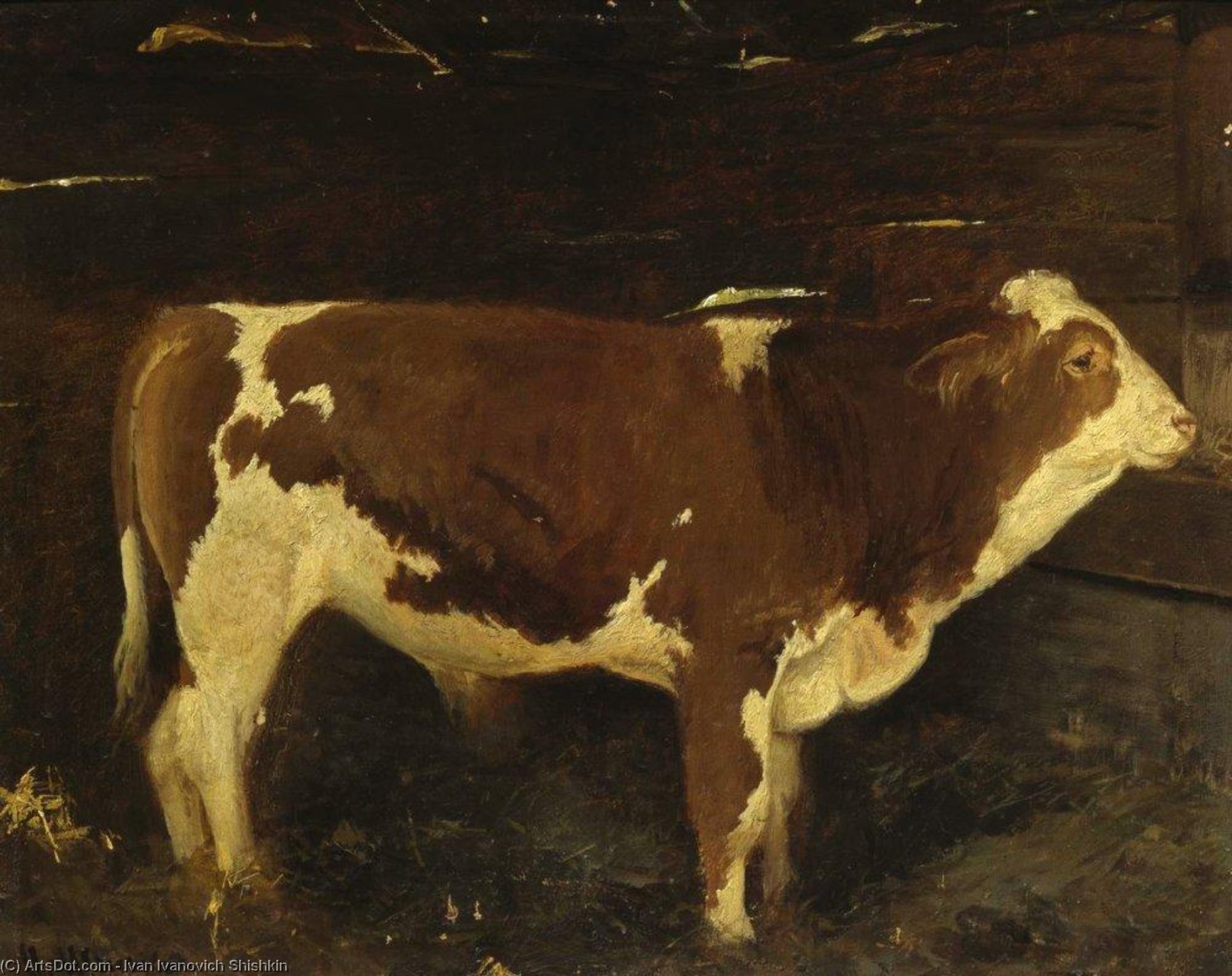 Wikioo.org - The Encyclopedia of Fine Arts - Painting, Artwork by Ivan Ivanovich Shishkin - Bull