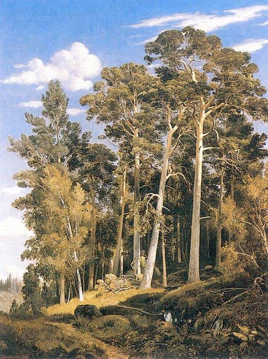 WikiOO.org - Encyclopedia of Fine Arts - Maľba, Artwork Ivan Ivanovich Shishkin - Pine forest