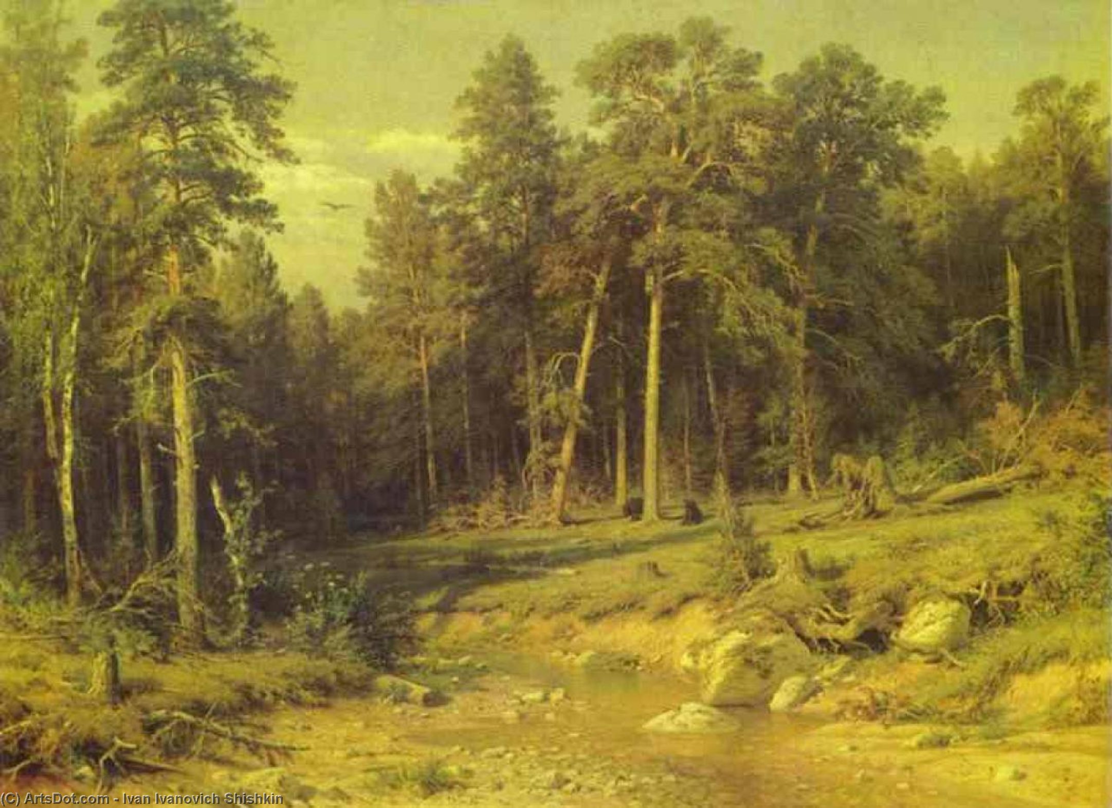 Wikioo.org - The Encyclopedia of Fine Arts - Painting, Artwork by Ivan Ivanovich Shishkin - Pine Forest in Viatka Province