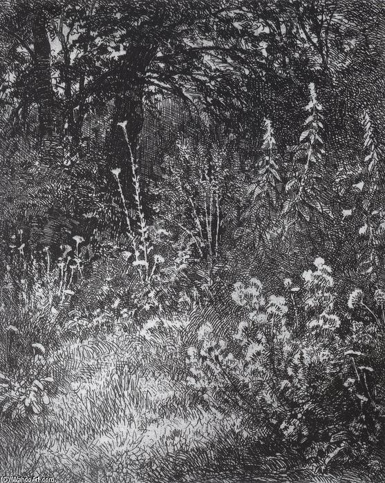 Wikioo.org - The Encyclopedia of Fine Arts - Painting, Artwork by Ivan Ivanovich Shishkin - Forest flowers