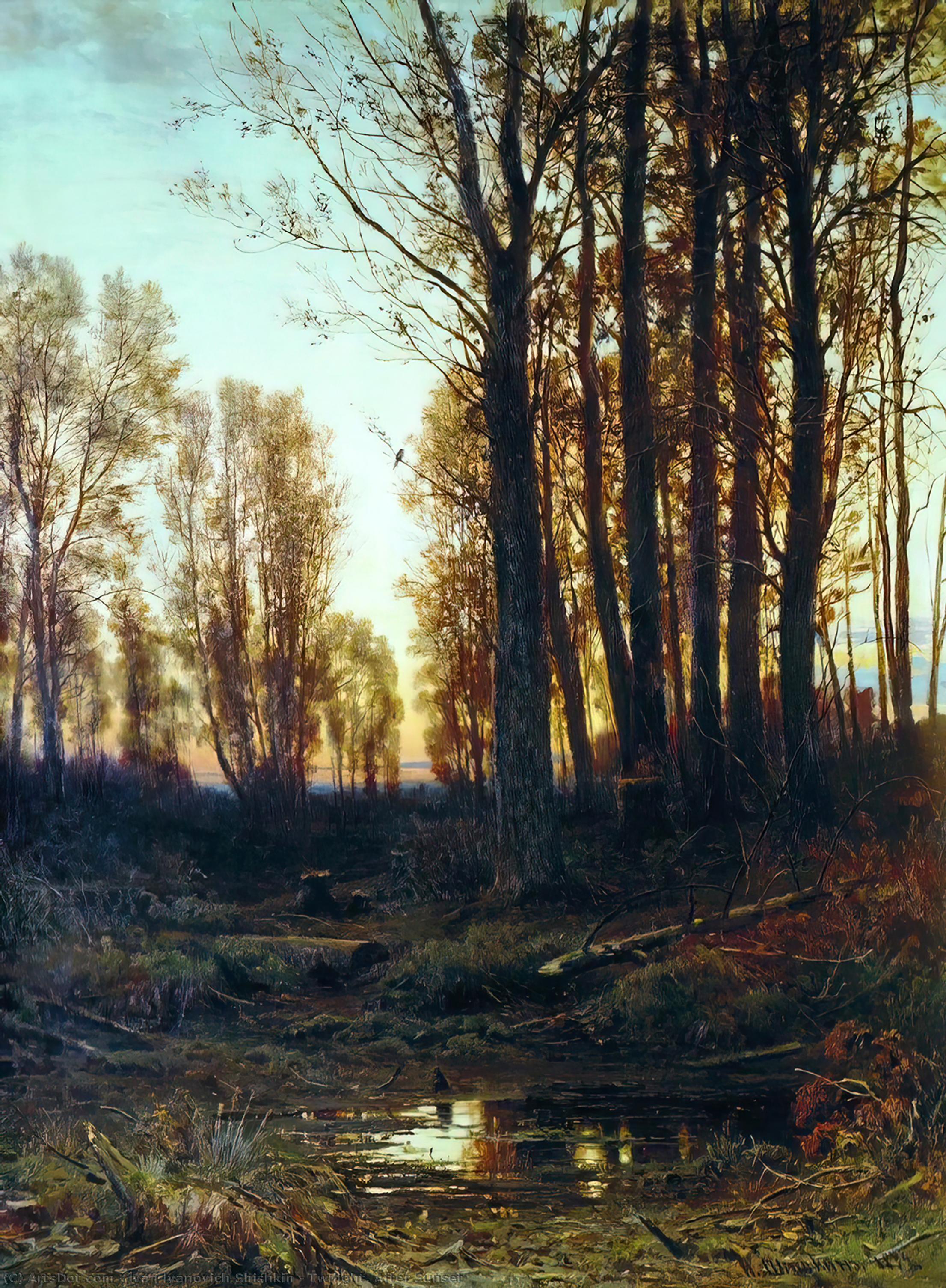 Wikioo.org - The Encyclopedia of Fine Arts - Painting, Artwork by Ivan Ivanovich Shishkin - Twilight. After Sunset