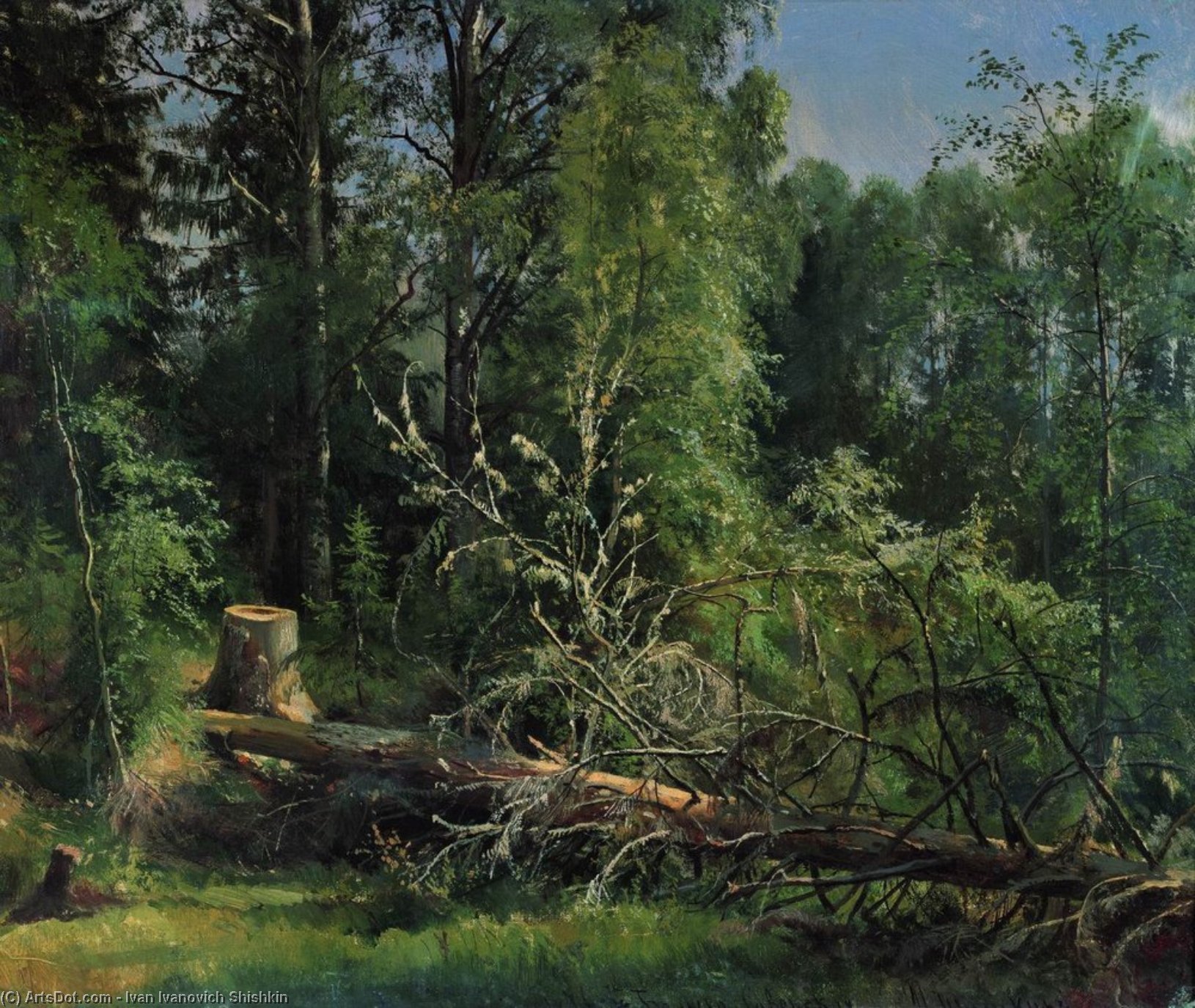Wikioo.org - The Encyclopedia of Fine Arts - Painting, Artwork by Ivan Ivanovich Shishkin - Fallen Tree