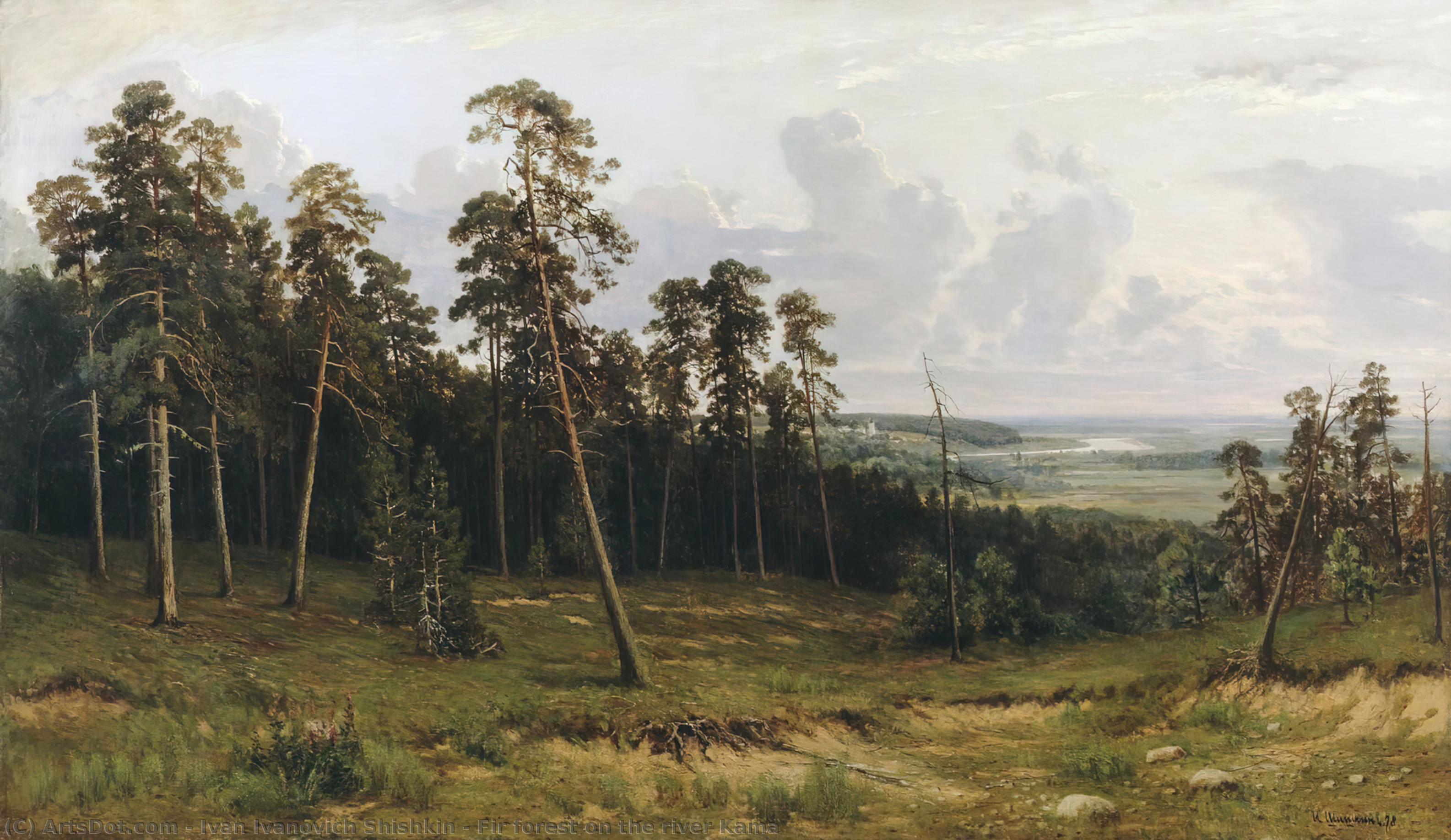 Wikioo.org - The Encyclopedia of Fine Arts - Painting, Artwork by Ivan Ivanovich Shishkin - Fir forest on the river Kama