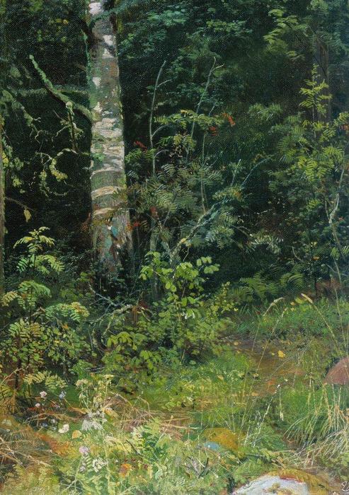 Wikioo.org - The Encyclopedia of Fine Arts - Painting, Artwork by Ivan Ivanovich Shishkin - Birch and mountain ash