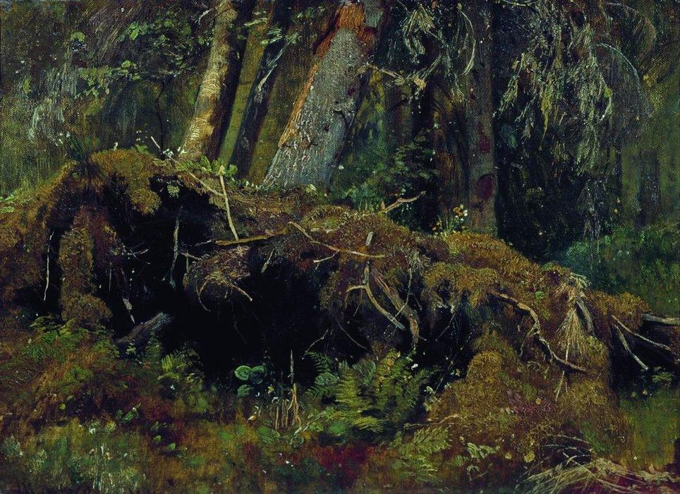 WikiOO.org - Encyclopedia of Fine Arts - Maleri, Artwork Ivan Ivanovich Shishkin - Wind Fallen Trees