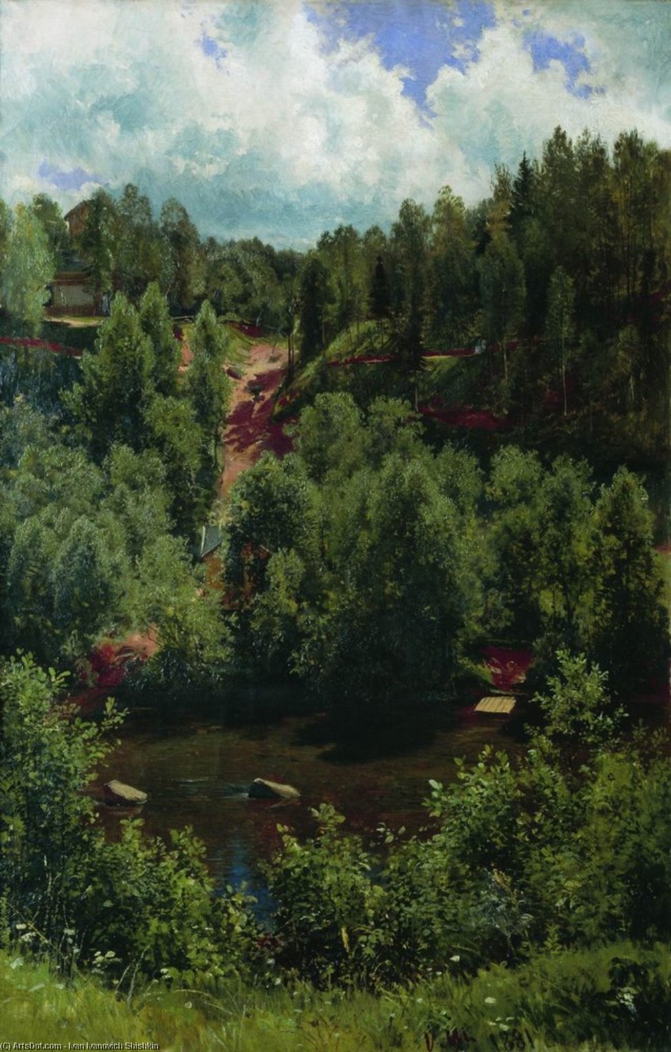 Wikioo.org - The Encyclopedia of Fine Arts - Painting, Artwork by Ivan Ivanovich Shishkin - After the rain. Etude of the forest