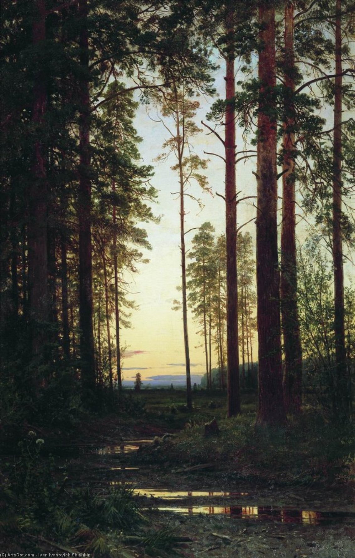 Wikioo.org - The Encyclopedia of Fine Arts - Painting, Artwork by Ivan Ivanovich Shishkin - Twilight
