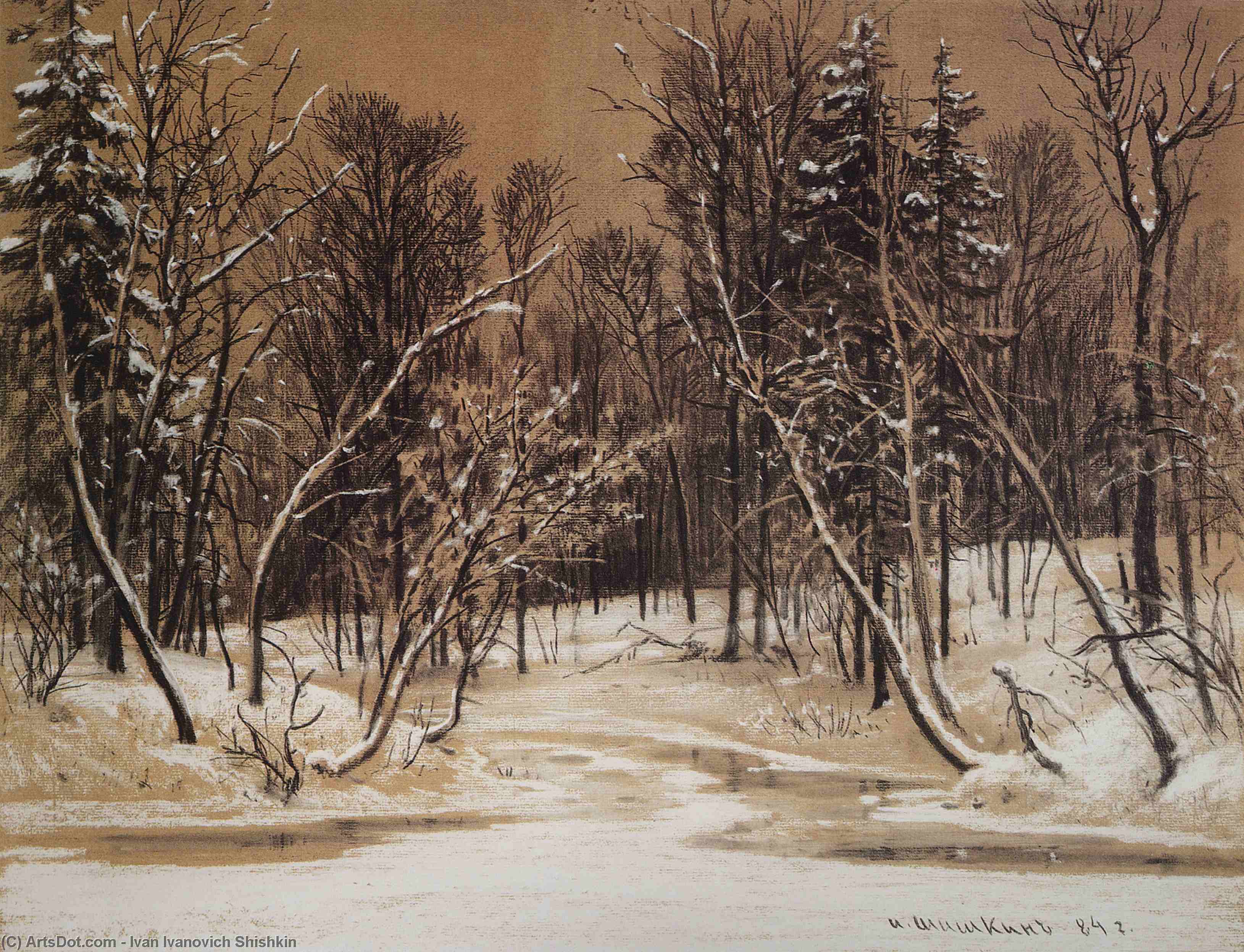 Wikioo.org - The Encyclopedia of Fine Arts - Painting, Artwork by Ivan Ivanovich Shishkin - Forest in winter