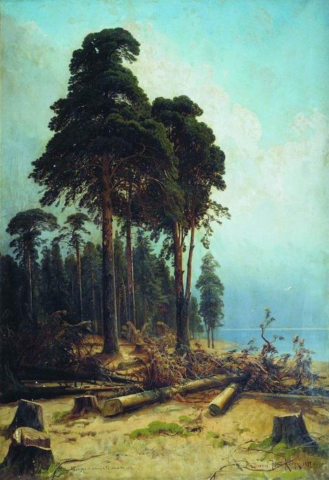 Wikioo.org - The Encyclopedia of Fine Arts - Painting, Artwork by Ivan Ivanovich Shishkin - Pine forest