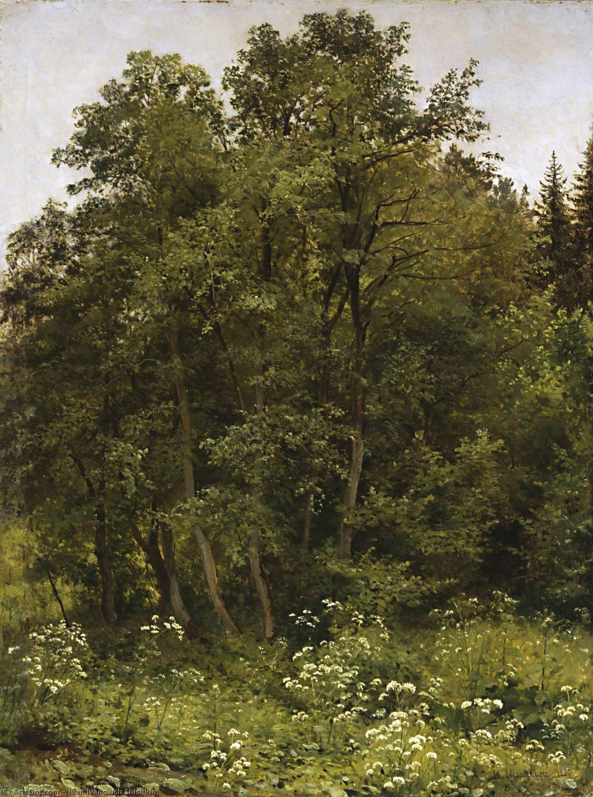 WikiOO.org - Encyclopedia of Fine Arts - Maľba, Artwork Ivan Ivanovich Shishkin - At the edge of the forest