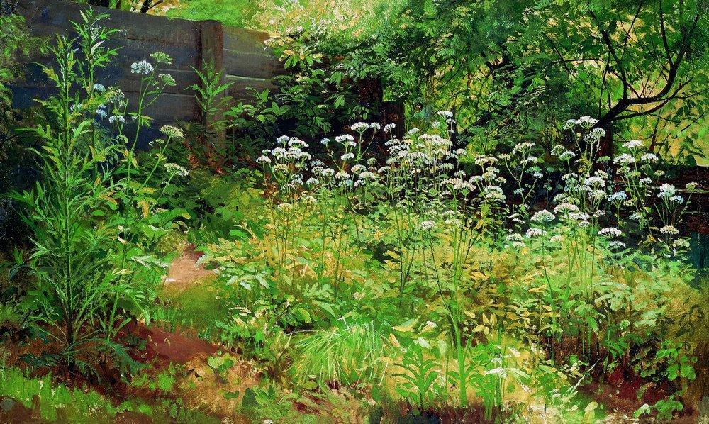 Wikioo.org – La Enciclopedia de las Bellas Artes - Pintura, Obras de arte de Ivan Ivanovich Shishkin - Goutweed-grass . Pargolovo