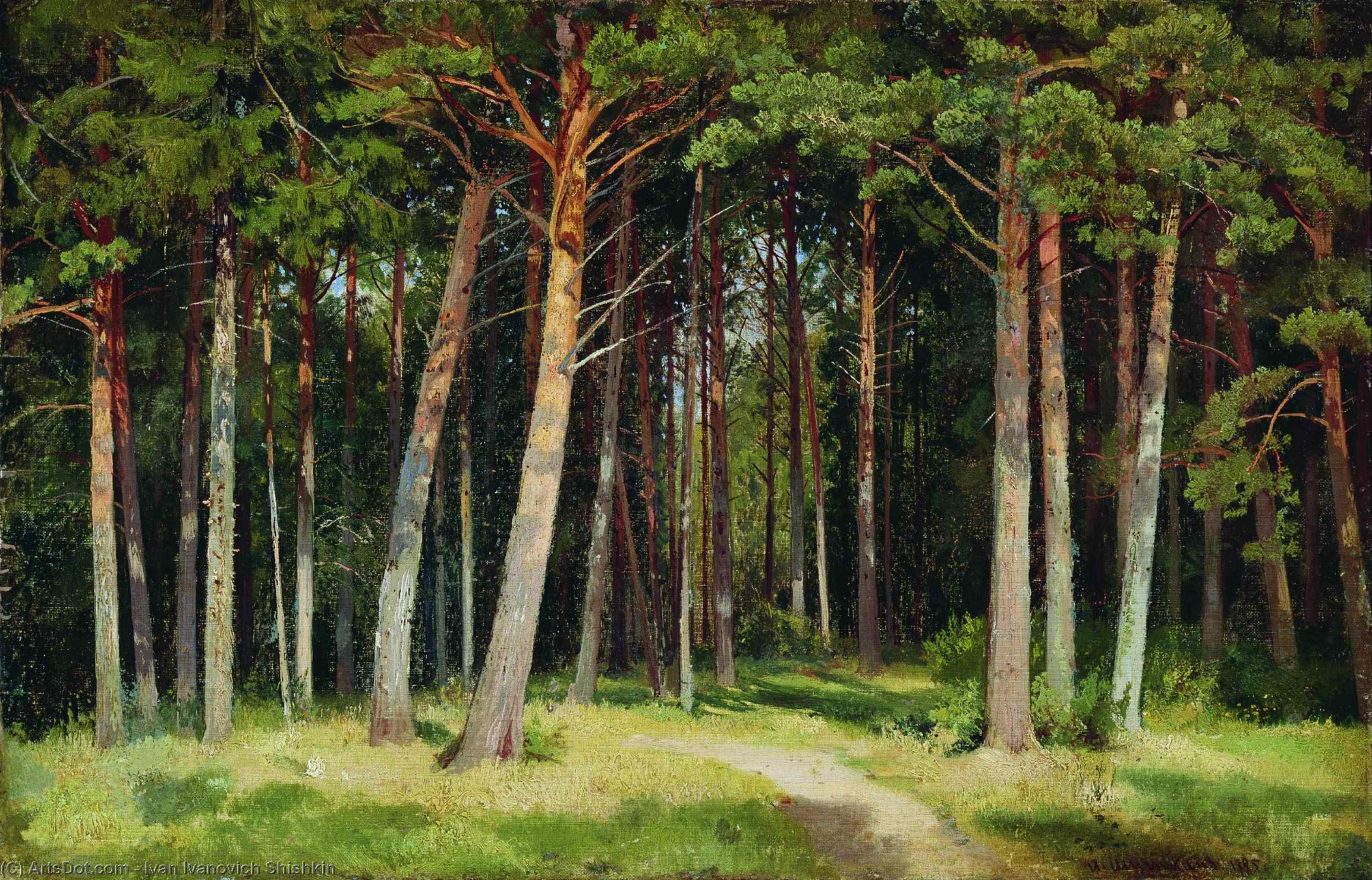 Wikioo.org – La Enciclopedia de las Bellas Artes - Pintura, Obras de arte de Ivan Ivanovich Shishkin - pino bosque