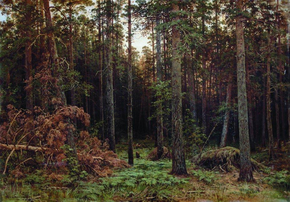 WikiOO.org – 美術百科全書 - 繪畫，作品 Ivan Ivanovich Shishkin - 松树 森林