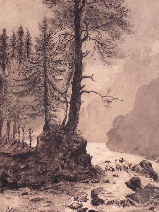 WikiOO.org - Encyclopedia of Fine Arts - Maľba, Artwork Ivan Ivanovich Shishkin - Mountain River