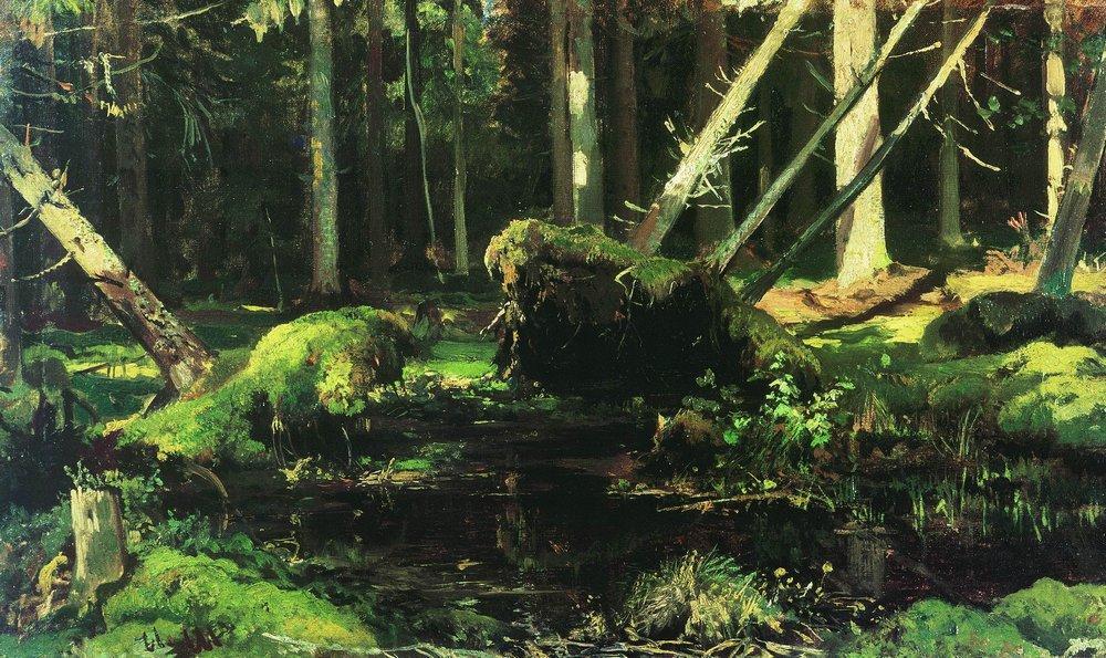 WikiOO.org - دایره المعارف هنرهای زیبا - نقاشی، آثار هنری Ivan Ivanovich Shishkin - Wind Fallen Trees