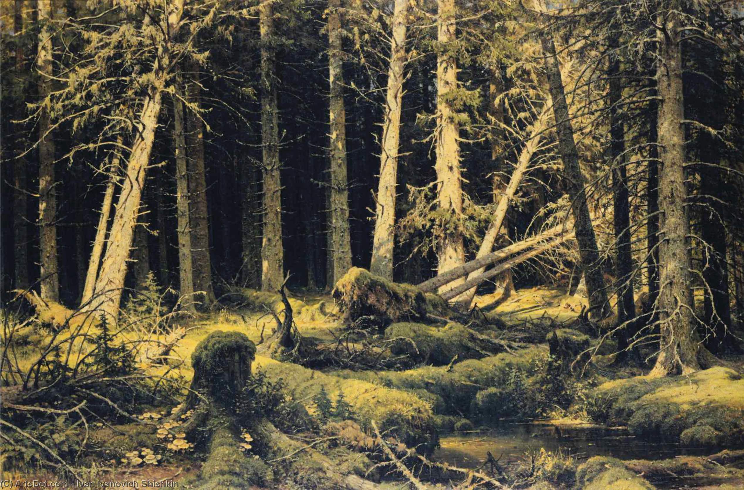 Wikioo.org - The Encyclopedia of Fine Arts - Painting, Artwork by Ivan Ivanovich Shishkin - Wind Fallen Trees
