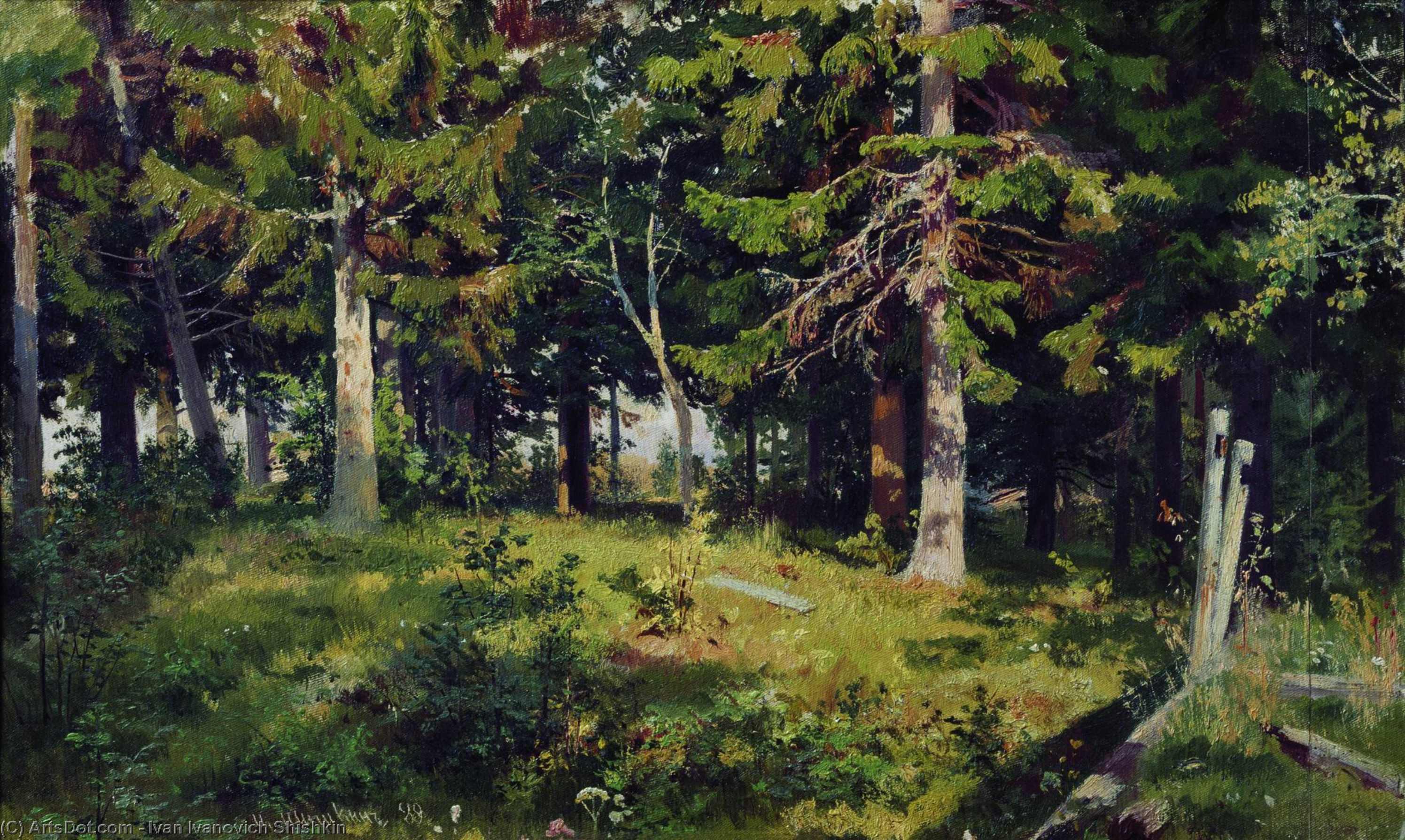 Wikioo.org - The Encyclopedia of Fine Arts - Painting, Artwork by Ivan Ivanovich Shishkin - Clearing in the forest