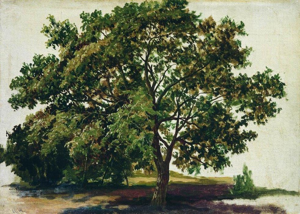 Wikioo.org - The Encyclopedia of Fine Arts - Painting, Artwork by Ivan Ivanovich Shishkin - Oak