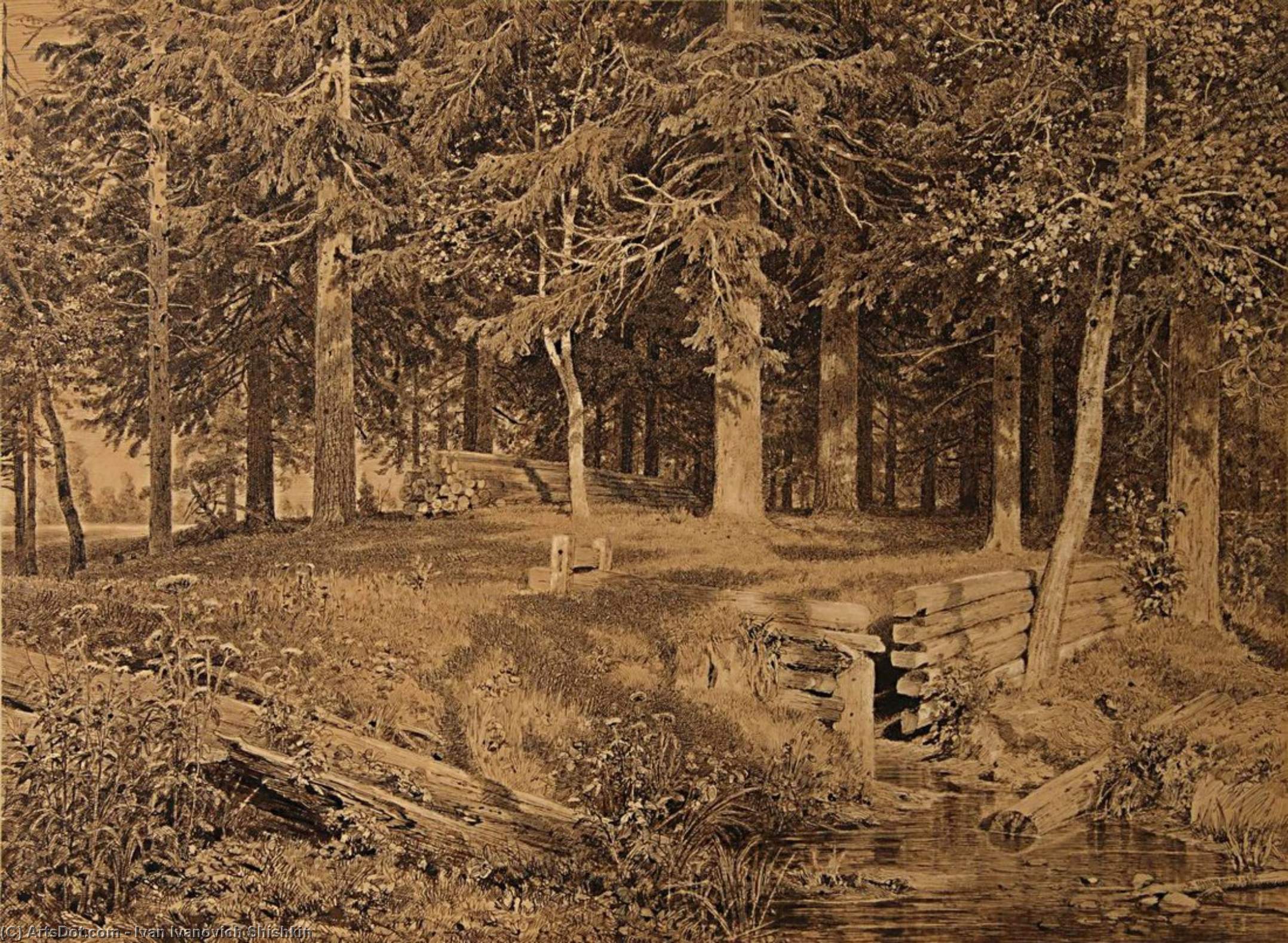 Wikioo.org - The Encyclopedia of Fine Arts - Painting, Artwork by Ivan Ivanovich Shishkin - Edge of the Forest (Spruce forest)