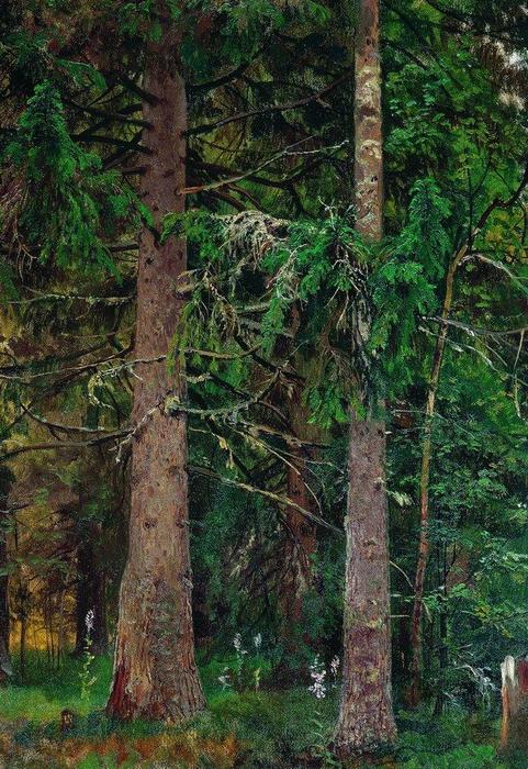 WikiOO.org - Енциклопедія образотворчого мистецтва - Живопис, Картини
 Ivan Ivanovich Shishkin - Fir forest