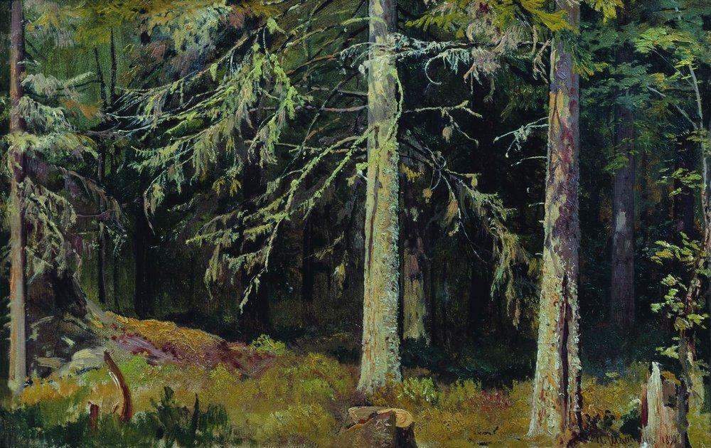WikiOO.org - Encyclopedia of Fine Arts - Schilderen, Artwork Ivan Ivanovich Shishkin - Fir forest