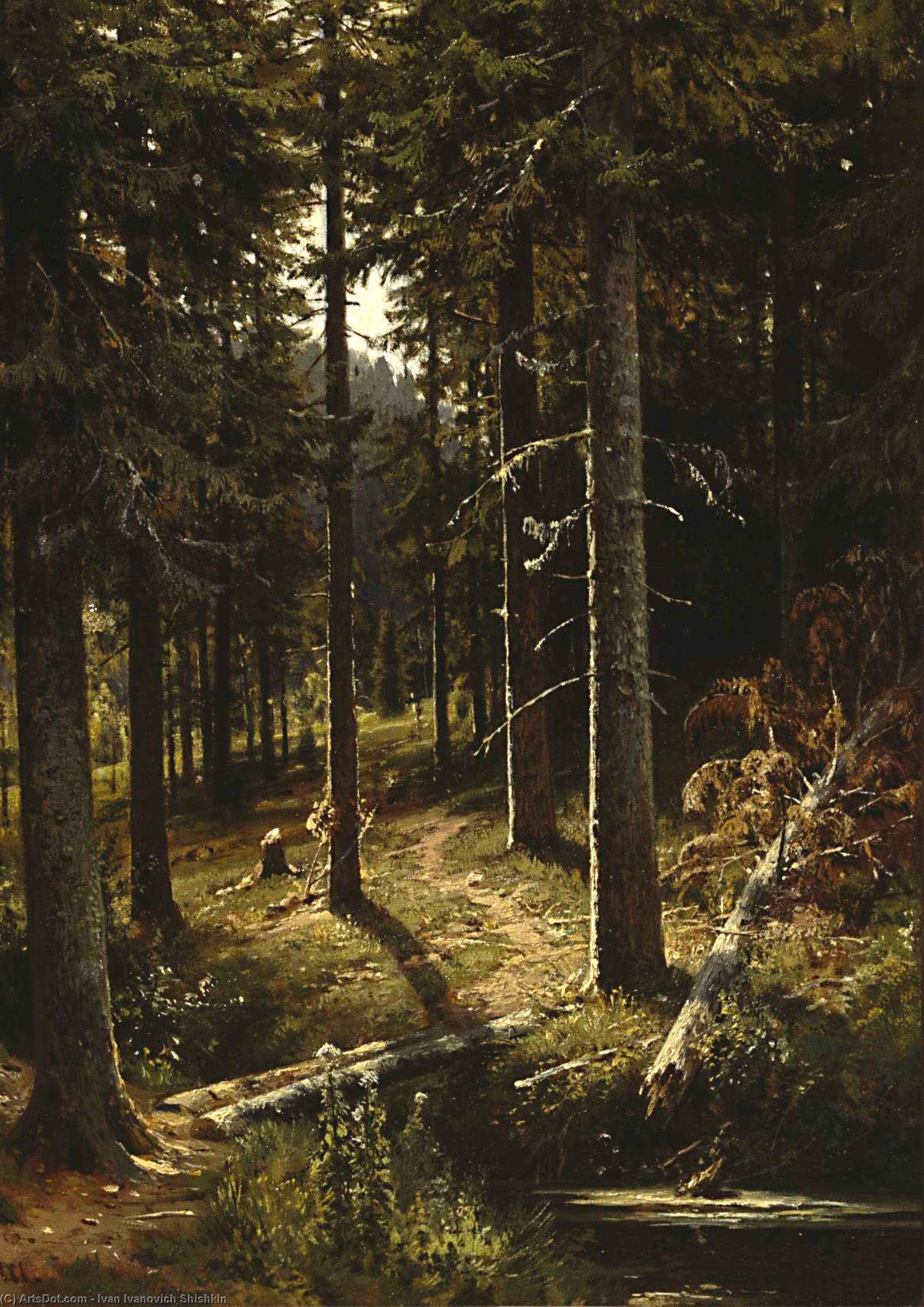 Wikioo.org - The Encyclopedia of Fine Arts - Painting, Artwork by Ivan Ivanovich Shishkin - Forest Landscape