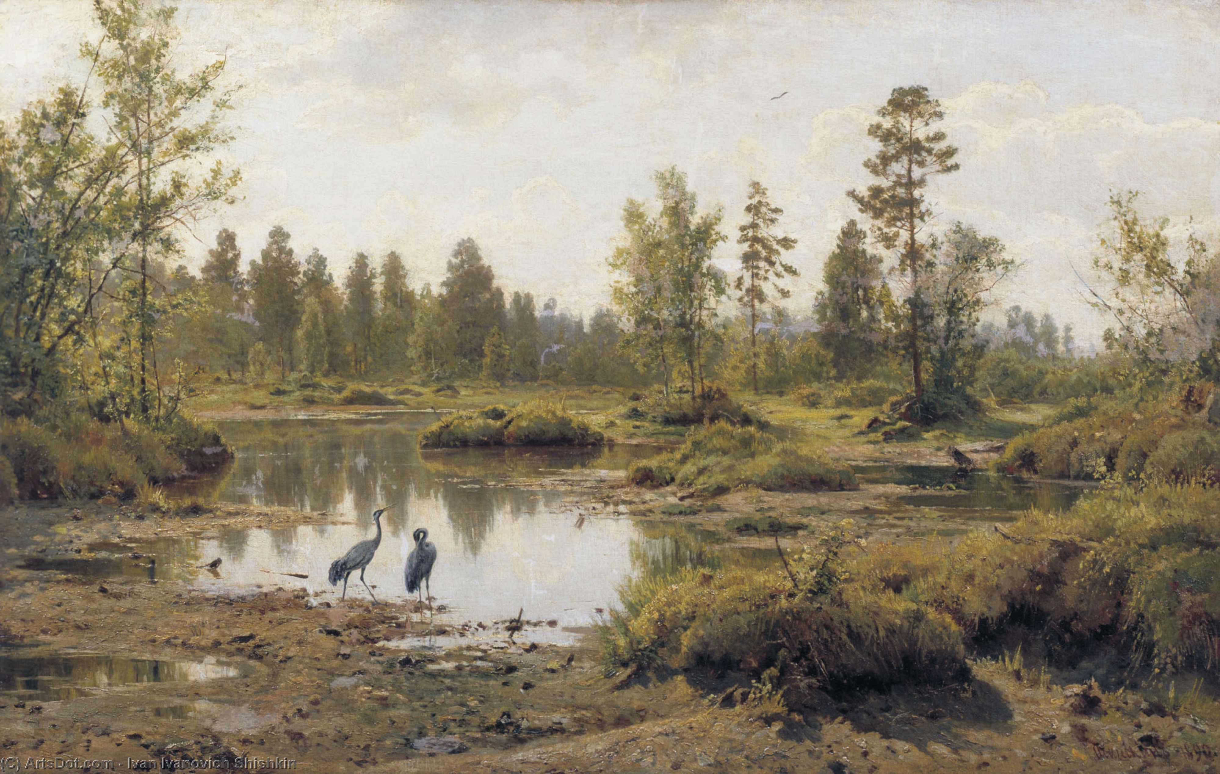 Wikioo.org - The Encyclopedia of Fine Arts - Painting, Artwork by Ivan Ivanovich Shishkin - Marsh. Polissia