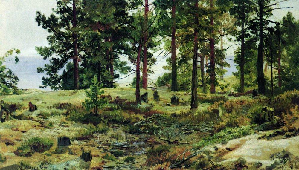 Wikioo.org - The Encyclopedia of Fine Arts - Painting, Artwork by Ivan Ivanovich Shishkin - On sandy soil. Mary-Howie on Finnish Railways