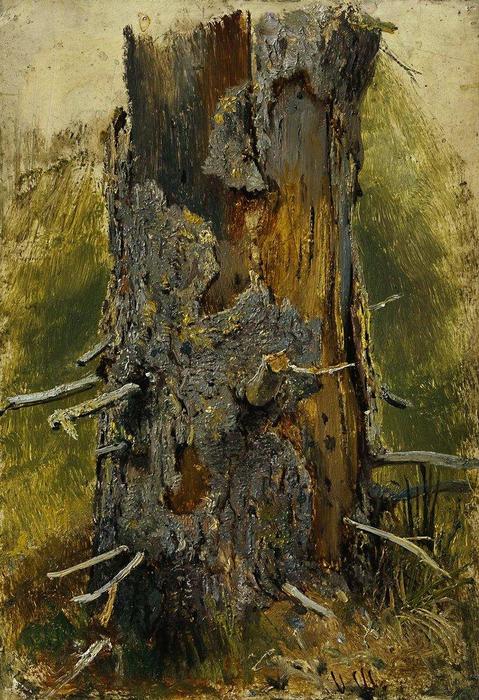 WikiOO.org - Enciclopedia of Fine Arts - Pictura, lucrări de artă Ivan Ivanovich Shishkin - The bark on the dry trunk