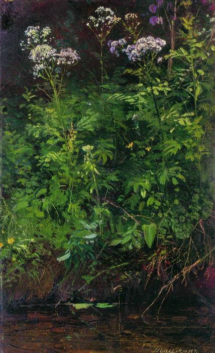 Wikioo.org - The Encyclopedia of Fine Arts - Painting, Artwork by Ivan Ivanovich Shishkin - Wildflowers near the water